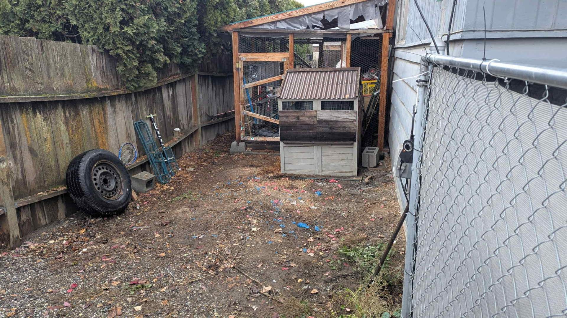 Before photo, Tarp pile and yard debris removal in East Wenatchee, WA