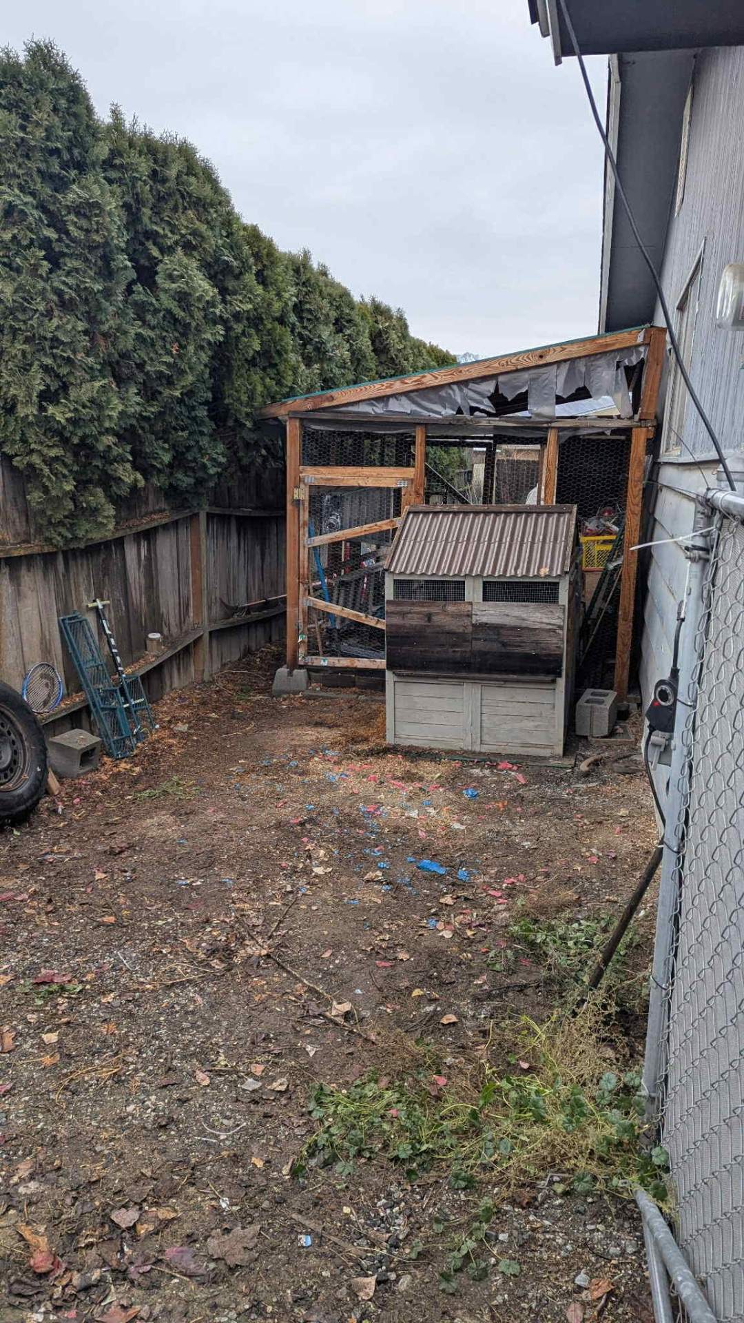 After photo, Backyard coop area cleanout and light junk hauling in Wenatchee, WA