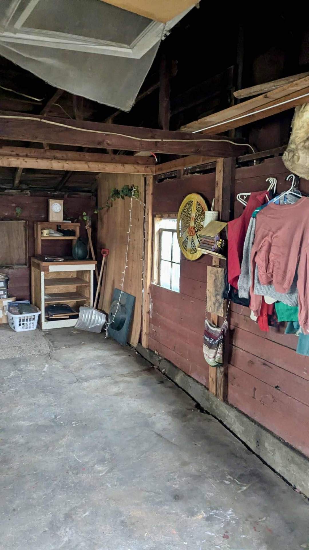 After photo, Backyard barn cleanout, hoarded shed reset in the Wenatchee Valley